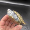 Concentric Diamondback Terrapin 2022 (Malaclemys terrapin) #5 Temp Sexed Male