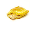Albino Red-Eared Slider (3-4.5 inch) (Trachemys scripta elegans)