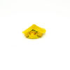 Baby Albino Red Eared Slider Turtle (Trachemys elegans)