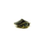 Baby Black Pearl Red Eared Slider Turtle (Trachemys elegans)