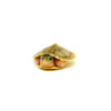 Baby Hybino Red Eared Slider Turtle (Trachemys elegans)