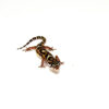 Small, bold, and full of personality, Central American Banded Geckos are a unique species ideal for keepers who want something different from the common leopard gecko