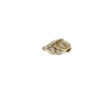 Concentric Diamondback Terrapin (Malaclemys terrapin) #14CDT UNSEXED