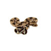 Guyana Red Tail Boa Constrictor (Boa constrictor)