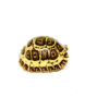 HI WHITE South African Giant Leopard Tortoise Female 2 (4-5 inch)(Stigmochelys p. pardalis)