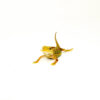The hypo citrus x red translucent bearded dragon is a stunning morph that blends vivid yellow and deep red tones with reduced melanin and translucent traits