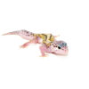 The combination of bold patterns and cool tones makes mack snow jungle baby leopard geckos some of the most striking young morphs available today.