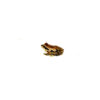 The ornate chorus frog (pseudacris ornata) is a small but fascinating amphibian native to the southeastern United States