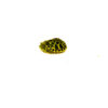 Paste Clownl Baby Florida Red Bellied Turtle