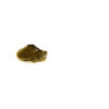 Sabine Map Turtle