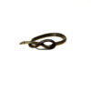 Southern Ring-necked Snake (Diadophis punctatus)