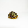 Sri Lankan Star Tortoise Female