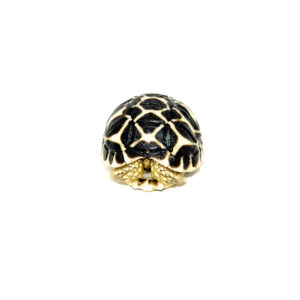 Sri Lankan Star Tortoise (Geochelone elegans)