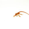 The super red bearded dragon #1 is a vibrant example of the popular Pogona vitticeps species. Known for its bold red coloration and calm personality