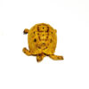 Syrian Golden Greek Tortoise Adult Female 13 (Testudo graeca terrestris) - #SGGTAF13