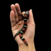 Tricolour Hognose Snake